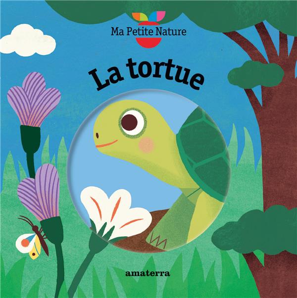 La tortue - flash vidéo