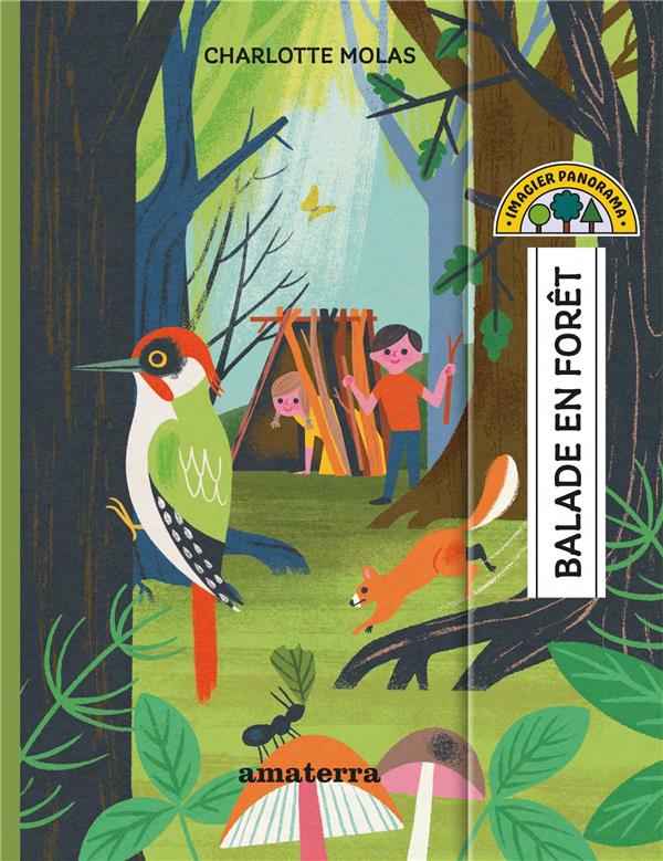 Balade en forêt - flash vidéo