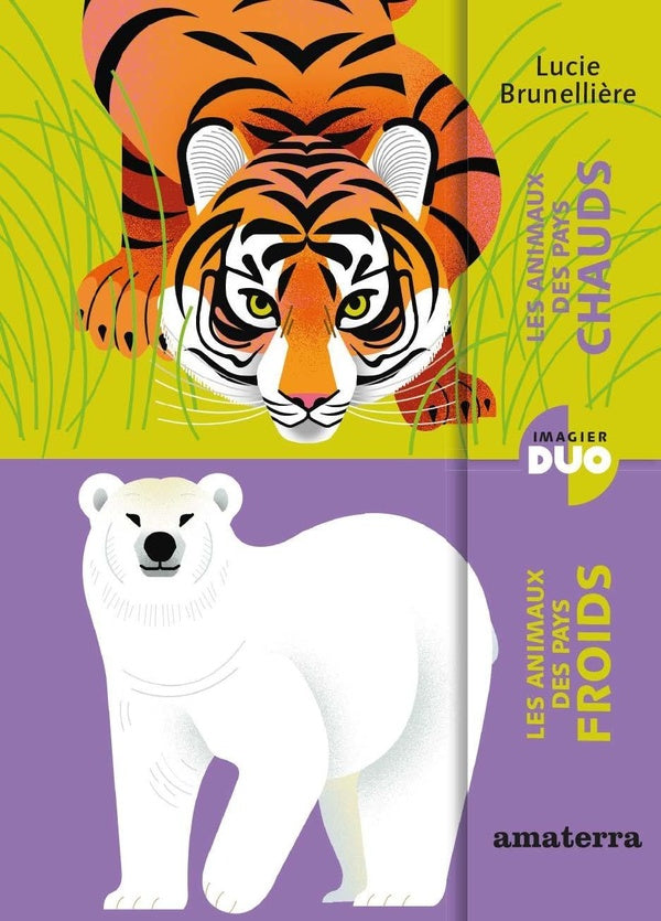 Les animaux des pays chauds, les animaux des pays froids - flash vidéo