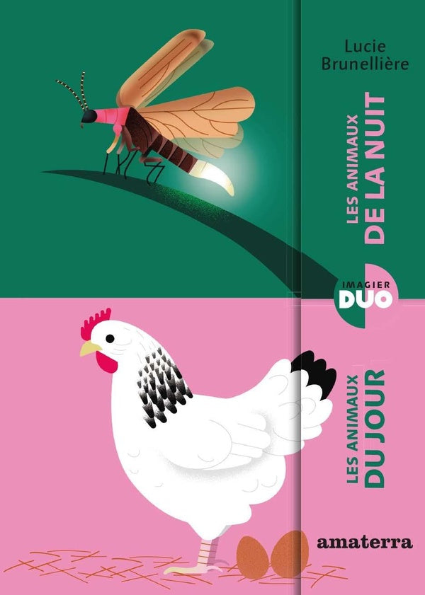 Les animaux du jour, les animaux de la nuit - flash vidéo