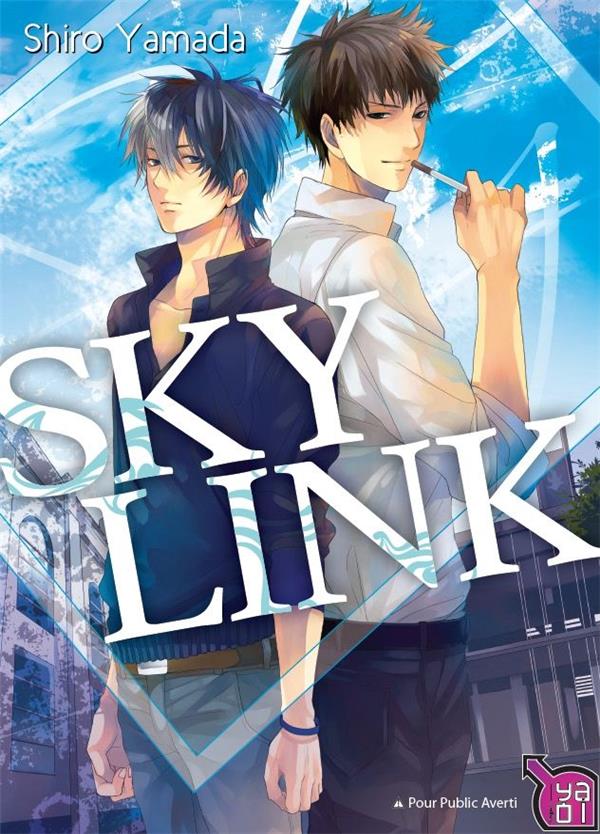 Sky link - flash vidéo
