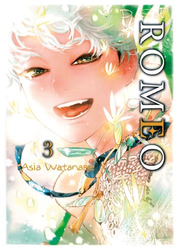 D.S.P. Romeo Tome 3