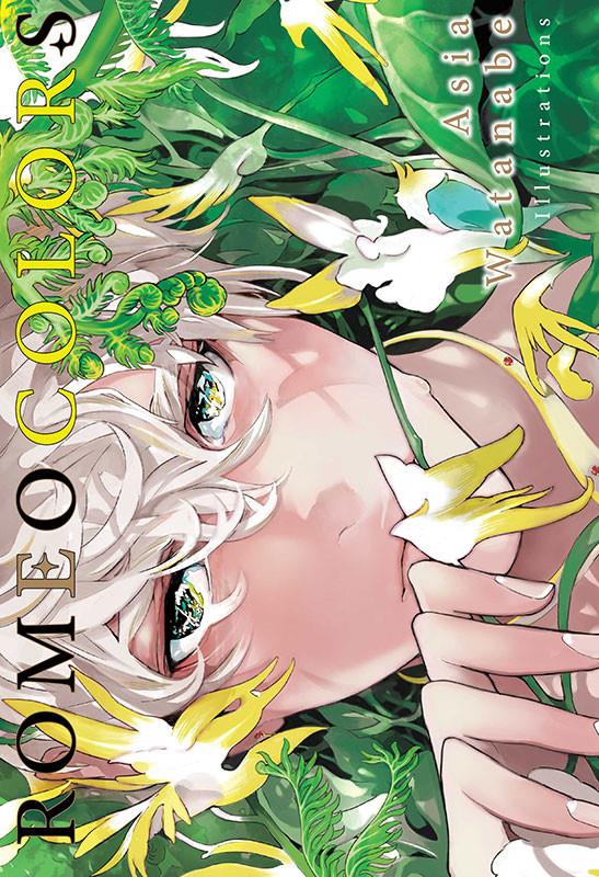 Romeo colors artbook - flash vidéo