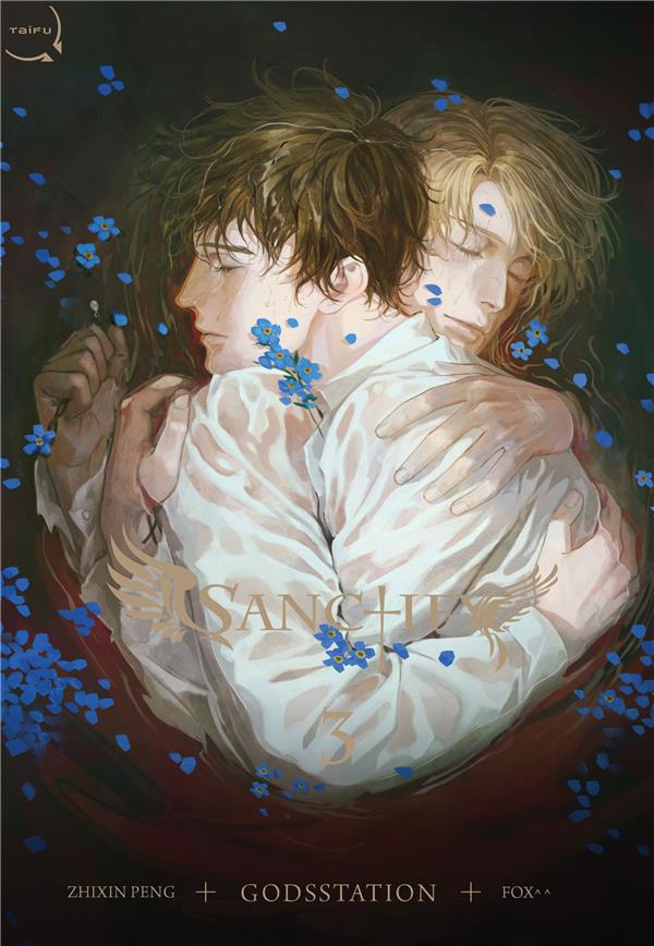 Sanctify Tome 3