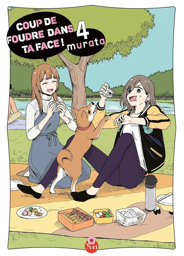 Coup de foudre dans ta face Tome 4