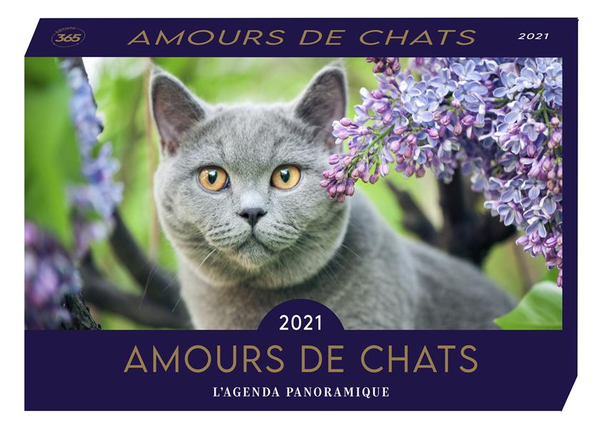 Agenda panoramique : amours de chats (édition 2021) - flash vidéo