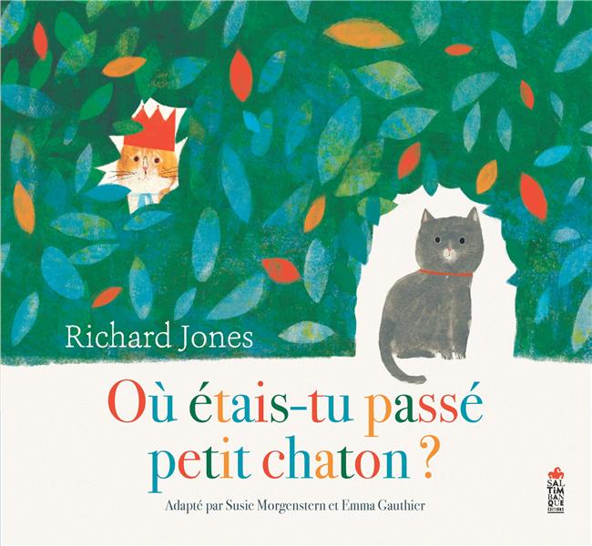 Où étais-tu passé petit chaton ? - flash vidéo