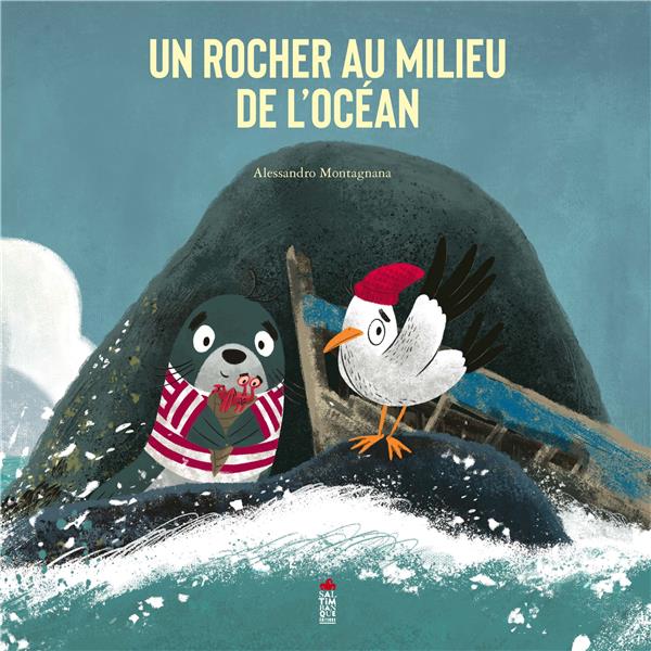 Un rocher au milieu de l'océan - flash vidéo