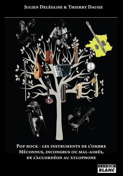 Pop rock - les instruments de l'ombre - meconnus, incongrus ou mal-aimes, de l accordeon au xylophon
