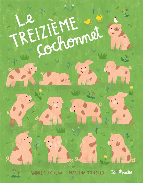 Le treizième cochonnet - flash vidéo