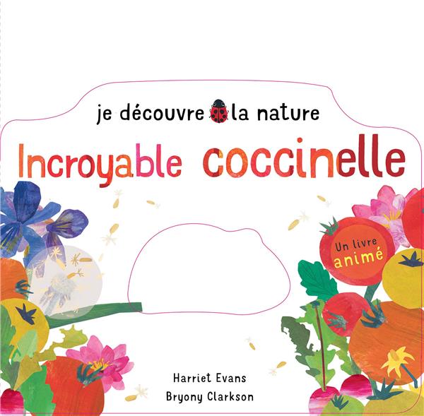 Je découvre la nature : incroyable coccinelle - flash vidéo