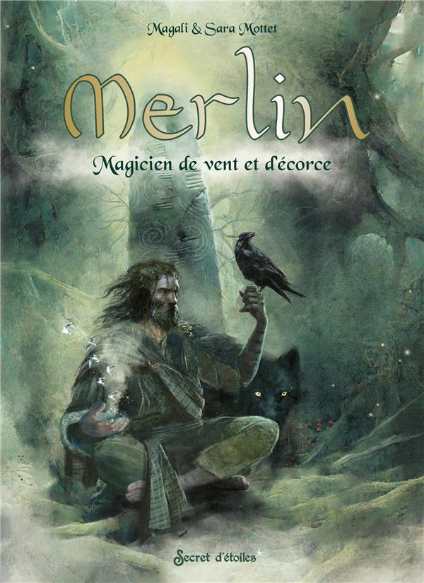 Merlin : magicien de vent et d'écorce - flash vidéo