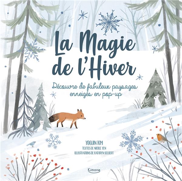 La magie de l'hiver : découvre de fabuleux paysages en pop-up - flash vidéo