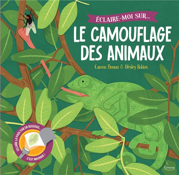 éclaire-moi sur... le camouflage des animaux - flash vidéo