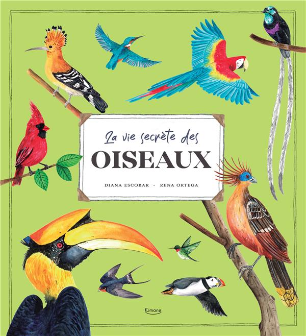 La vie secrète des oiseaux - flash vidéo