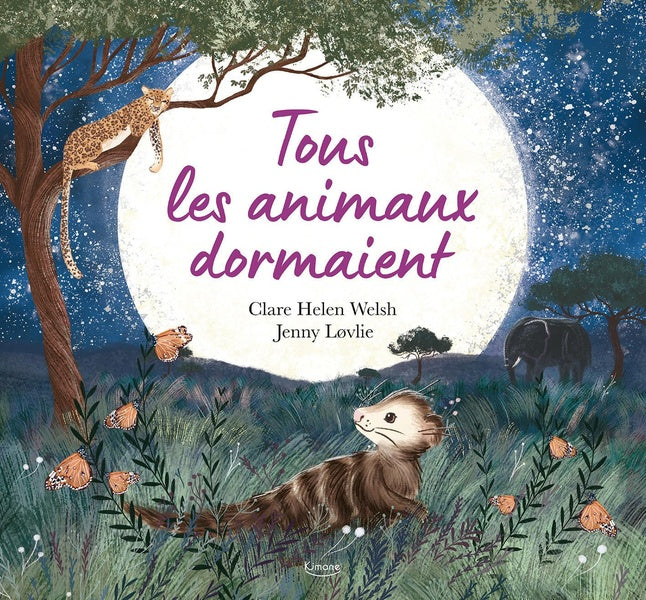 Tous les animaux dormaient - flash vidéo