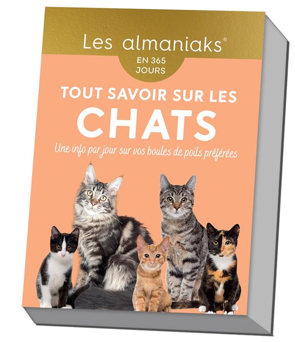 Tout savoir sur les chats