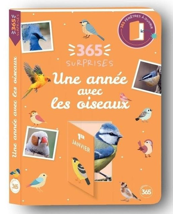 365 surprises : Une année avec les oiseaux