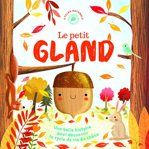 Le petit gland - flash vidéo