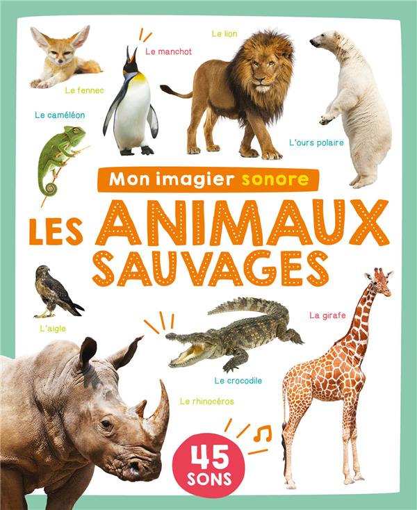 Mon livre sonore : Mon imagier sonore : Animaux sauvages - flash vidéo
