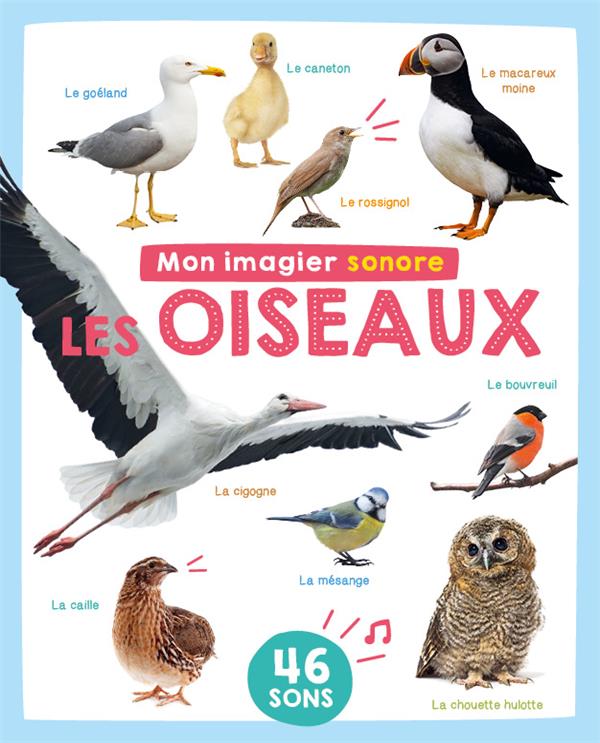 Mon imagier sonore : Les oiseaux - flash vidéo