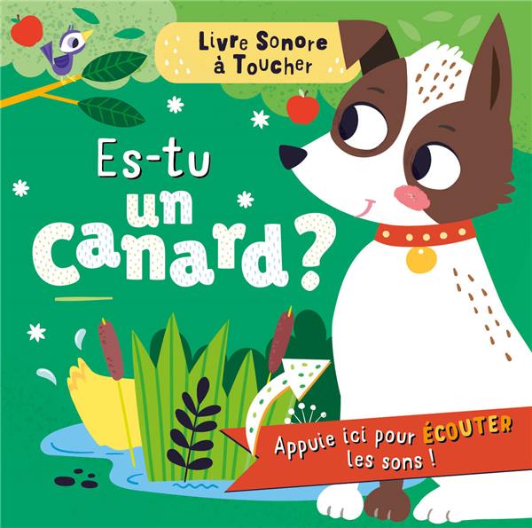 Livre sonore à toucher : Es-tu un canard ? - flash vidéo