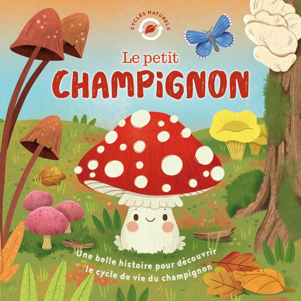 Le petit champignon - flash vidéo