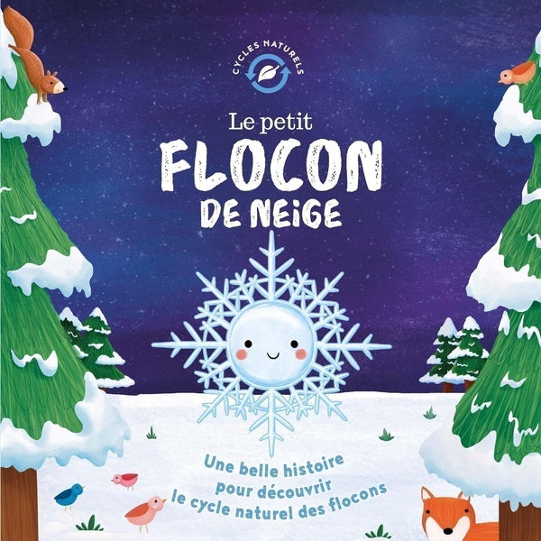Le petit flocon de neige - flash vidéo