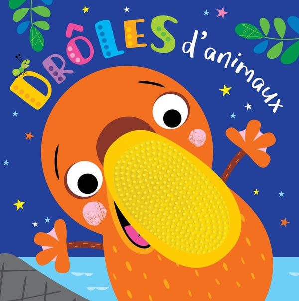 Drôles d'animaux - flash vidéo
