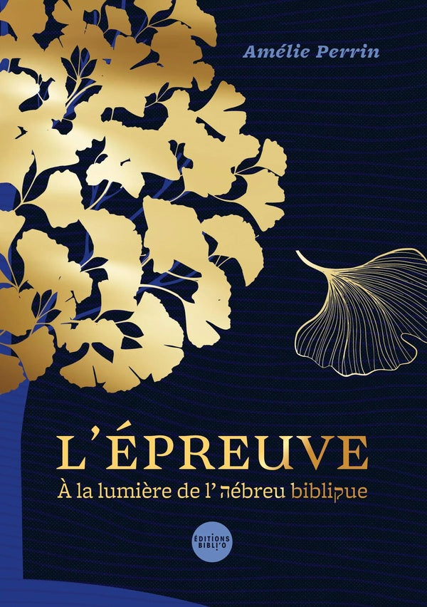 L'épreuve : À la lumière de l'hébreu biblique - flash vidéo