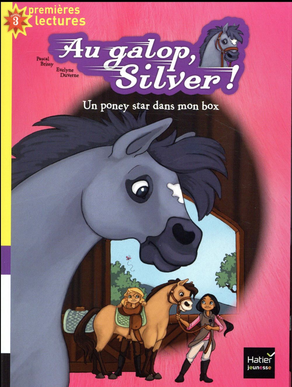 Au galop, Silver ! un poney star dans mon box