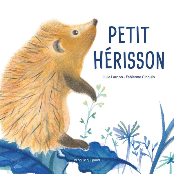 Petit hérisson - flash vidéo
