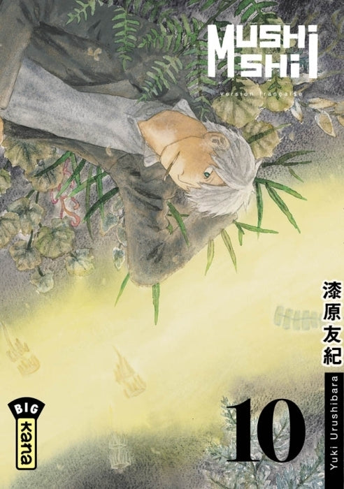 Mushishi Tome 10 - flash vidéo