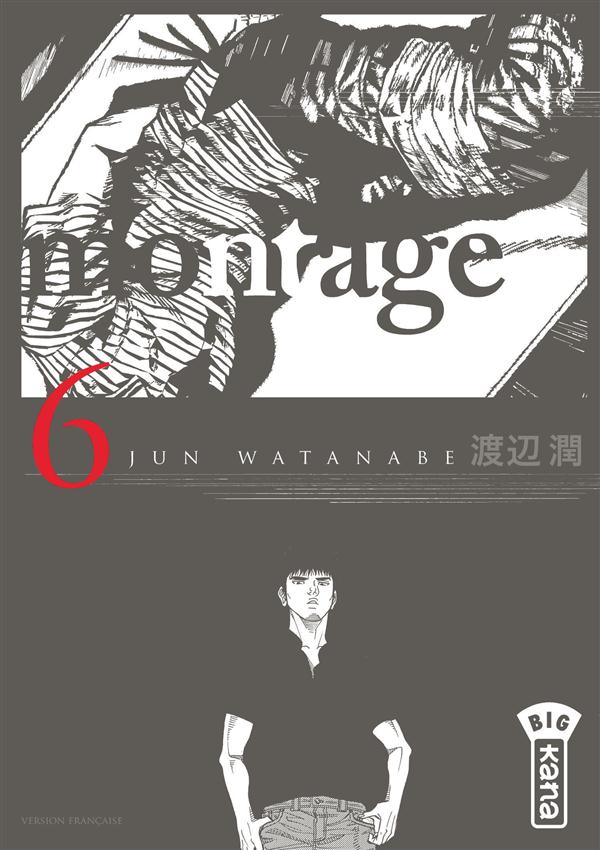 Montage Tome 6