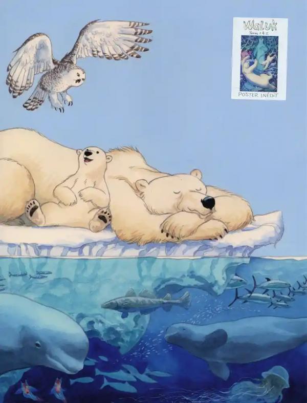 Waluk : coffret Tomes 1 et 2 - flash vidéo