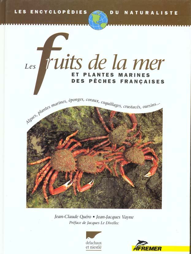 Les fruits de la mer - flash vidéo