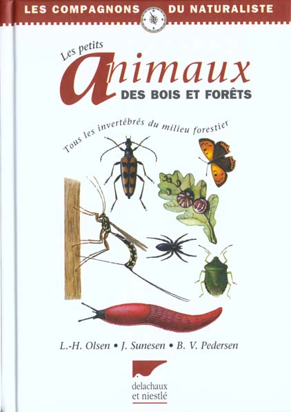 Les petits animaux des bois et forêts
