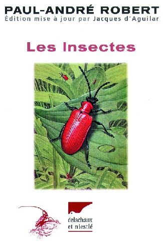 Les insectes - flash vidéo