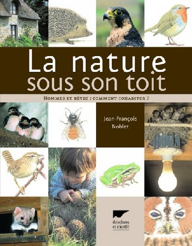 La nature sous son toit ; hommes et bêtes : comment cohabiter ? - flash vidéo