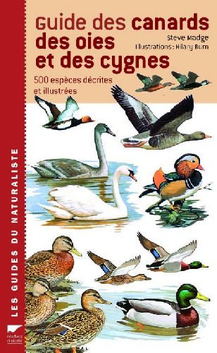 Guide des canards, des oies et des cygnes - flash vidéo