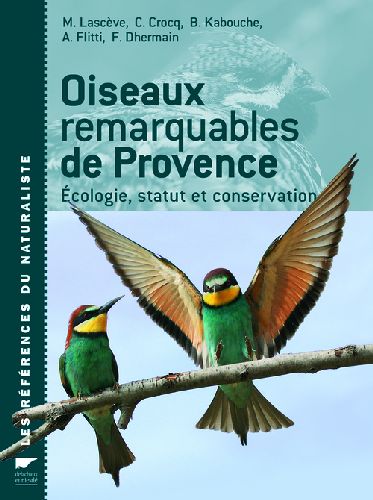 Oiseaux remarquables de provence - ecologie, statut et conservation - flash vidéo