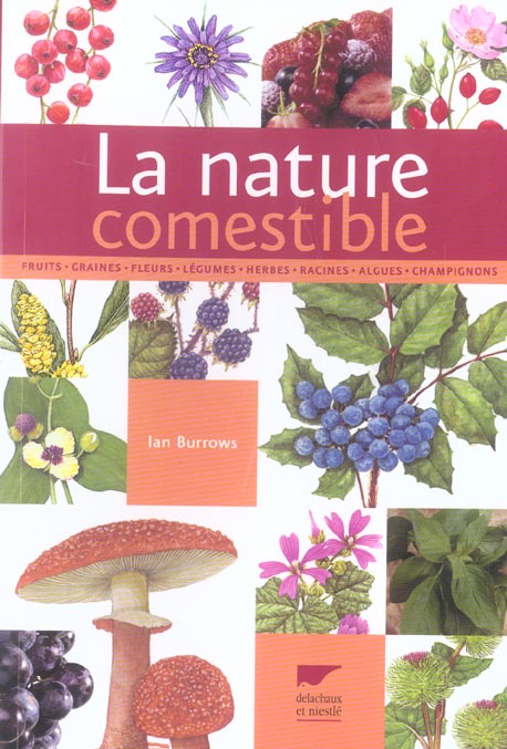 La nature comestible - flash vidéo