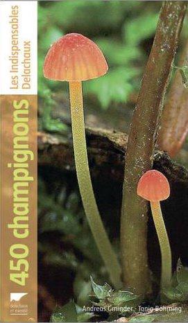 450 champignons - flash vidéo