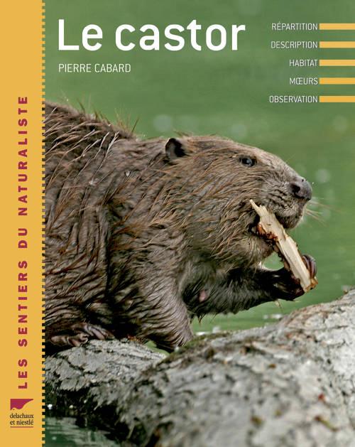 Le castor
