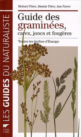 Guide des graminées, carex, joncs et fougères ; toutes les herbes de l'Europe