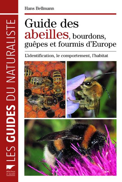 Abeilles, bourdons, guêpes et fourmis d'Europe ; identification, comportement, habitat