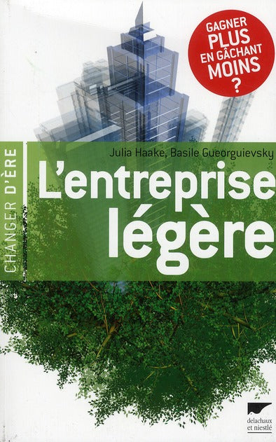 L'entreprise légère - flash vidéo