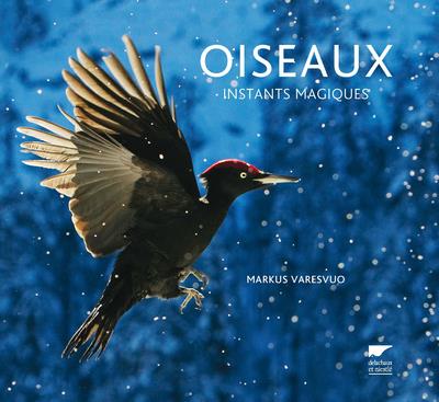 Oiseaux ; instants magiques