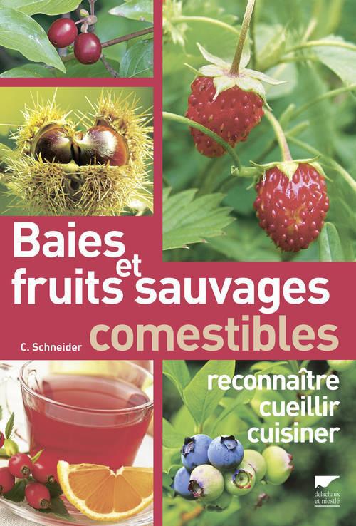 Baies et fruits sauvages comestibles ; reconnaître, cueillir, cuisiner