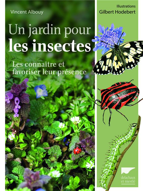 Un jardin pour les insectes ; les connaître et favoriser leur présence
